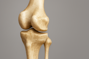 best knee expert in aundh